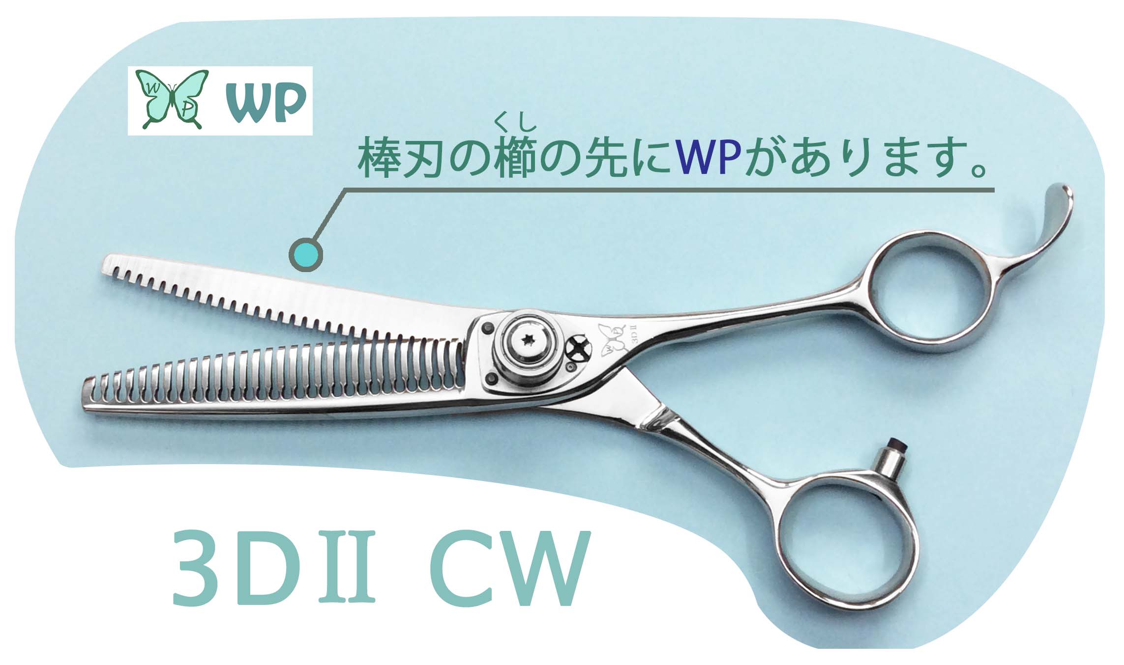 WP 3DⅡ PS