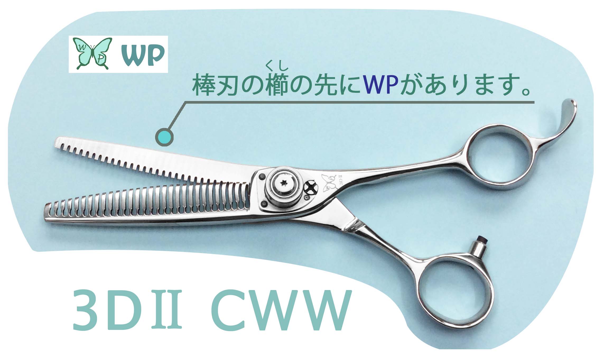 WP 3DⅡ CWW