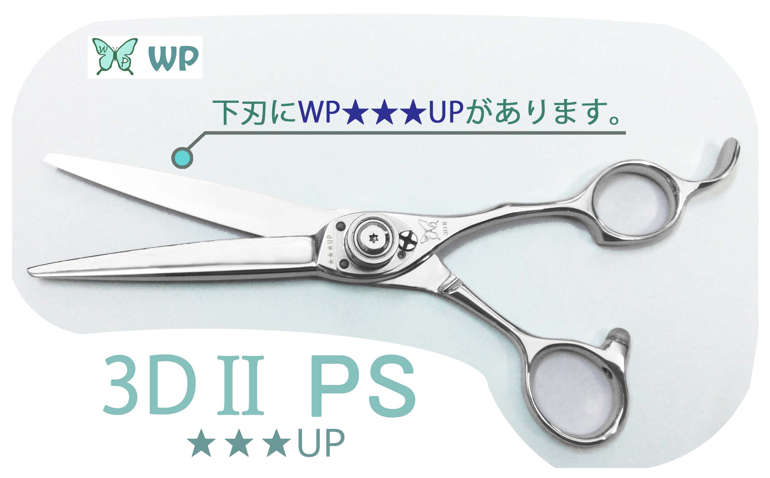 WP 3DⅡ PS